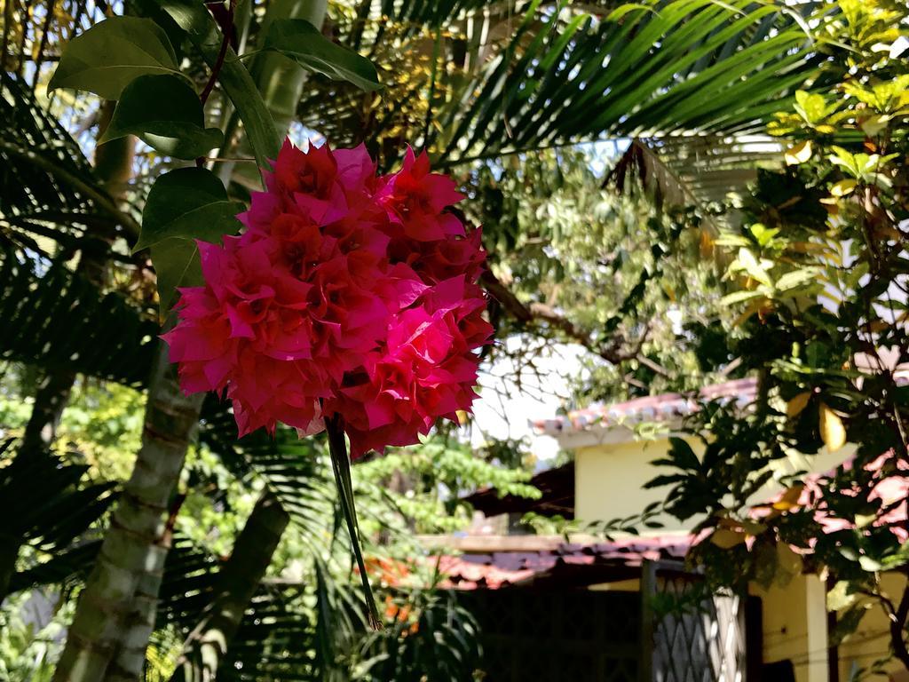 Casa Do Sandalo Boutique Guest House Dili Exteriér fotografie